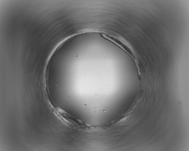 X0000064041148200602171637