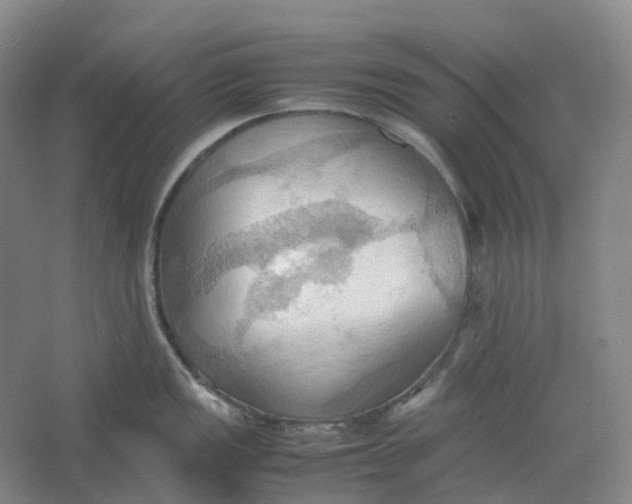 X0000064041149200602171637