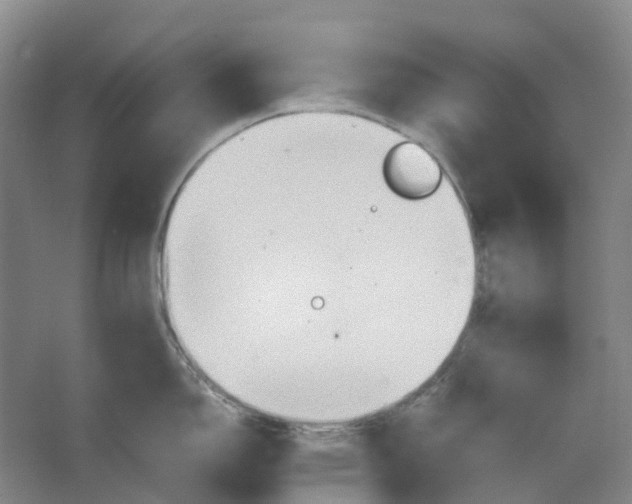 X0000064041150200602171637