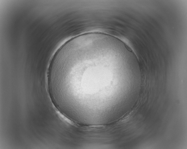 X0000064041151200602171637