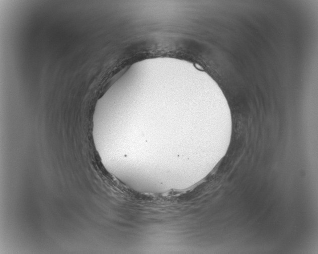 X0000064041153200602171637