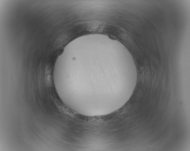 X0000064041154200602171637