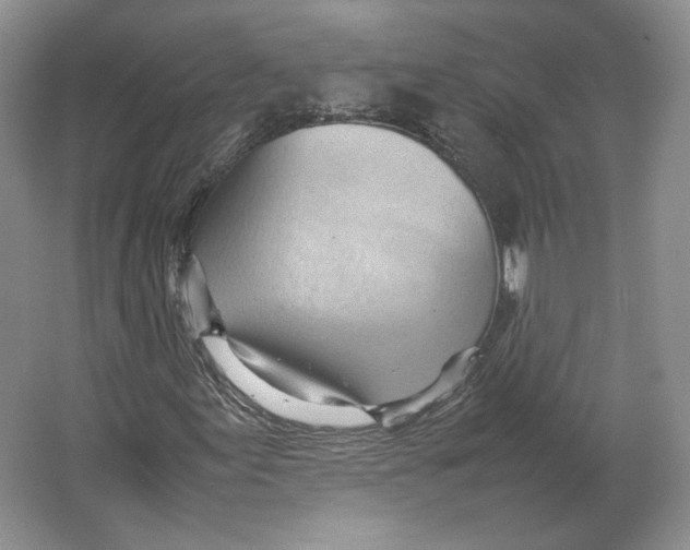 X0000064041155200602171637