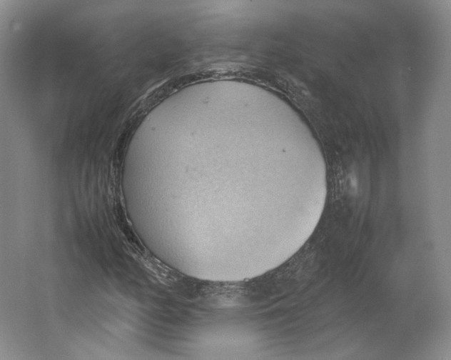 X0000064041158200602171637