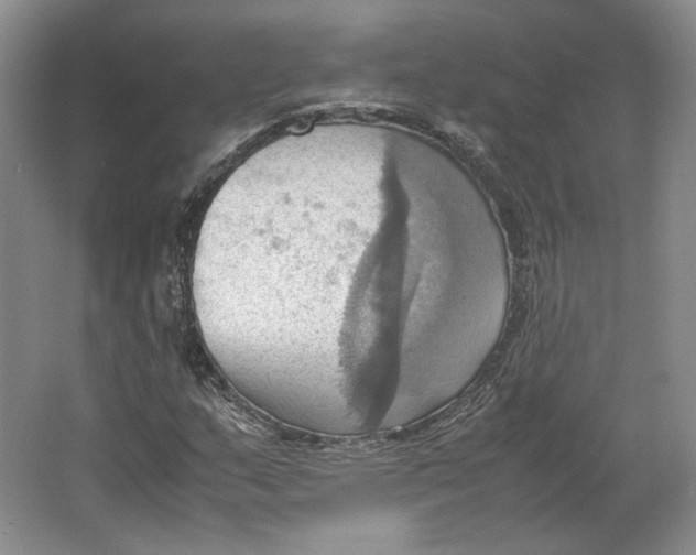 X0000064041159200602171637