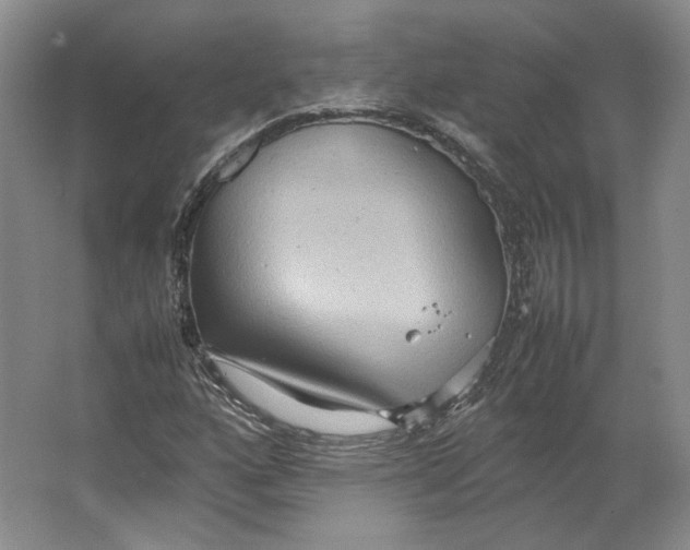 X0000064041160200602171637