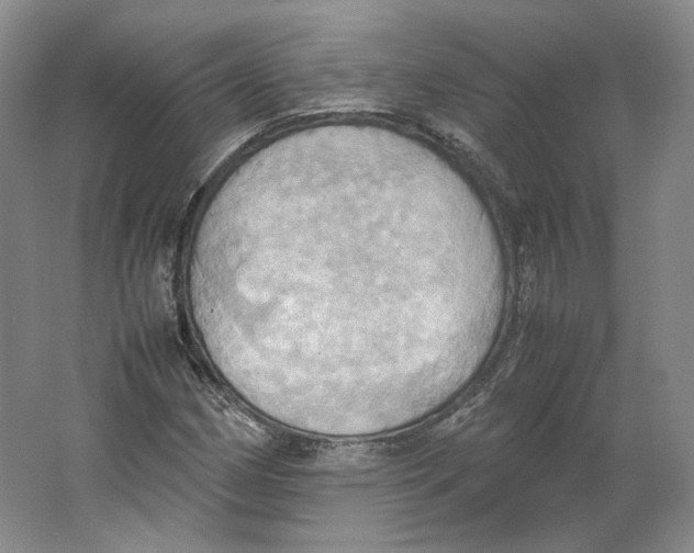 X0000064041162200602171637