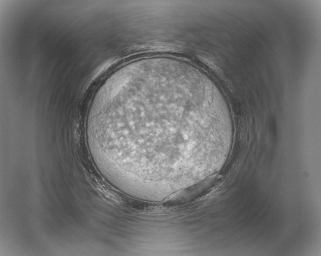 X0000064041163200602171637