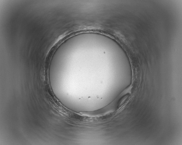 X0000064041165200602171636