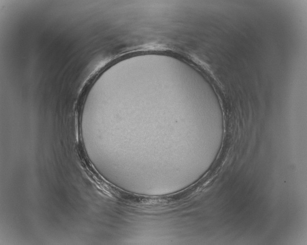 X0000064041171200602171636