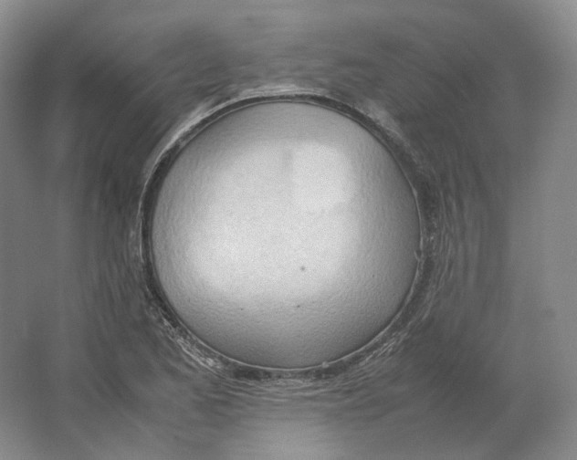 X0000064041173200602171636