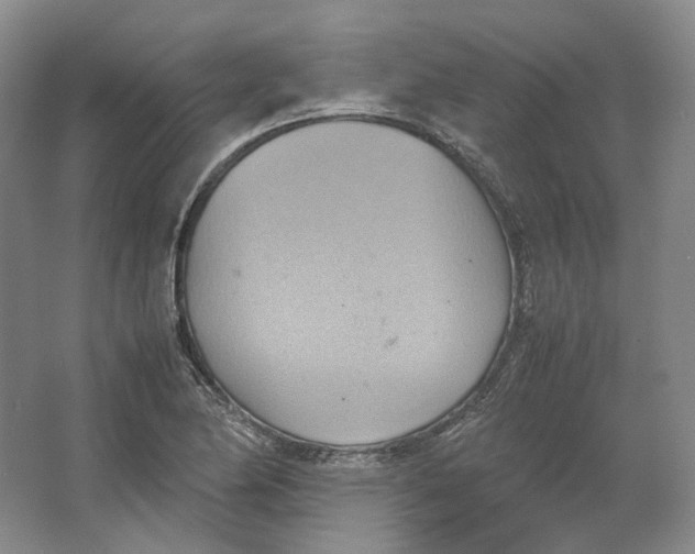 X0000064041174200602171636