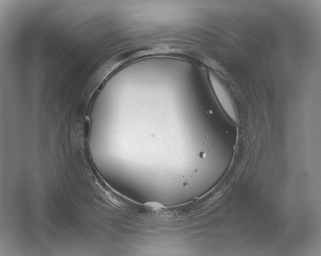 X0000064041177200602171636