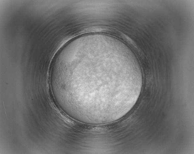 X0000064041178200602171636