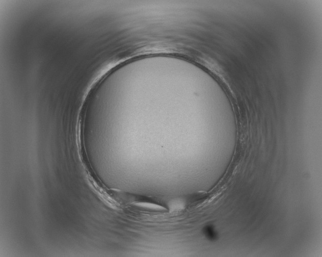 X0000064041179200602171636