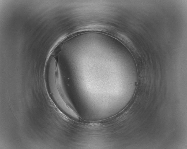 X0000064041180200602171636