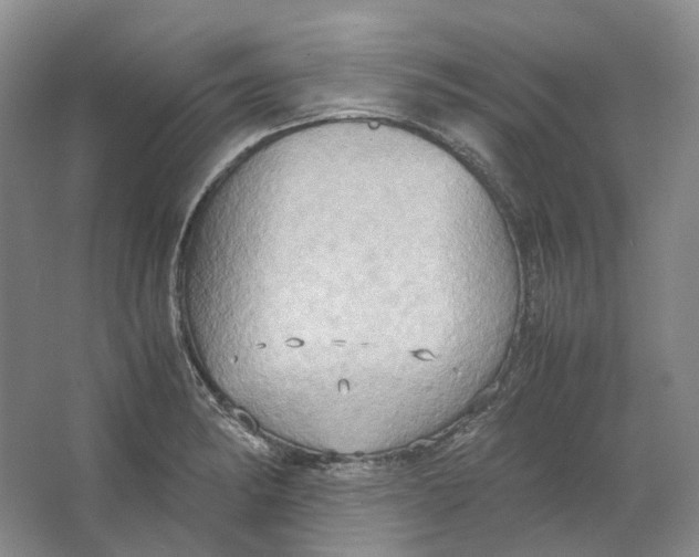 X0000064041182200602171636