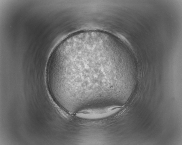 X0000064041183200602171636