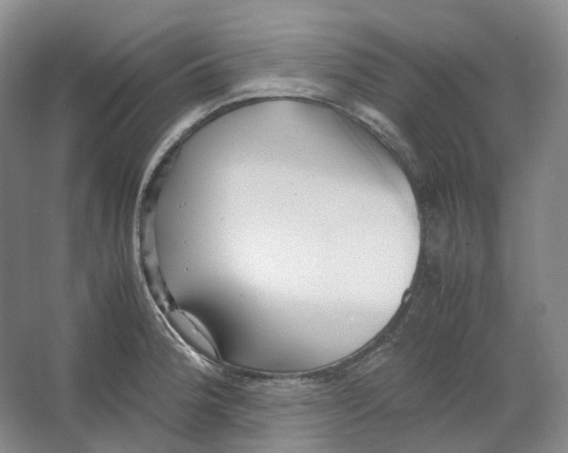 X0000064041188200602171636