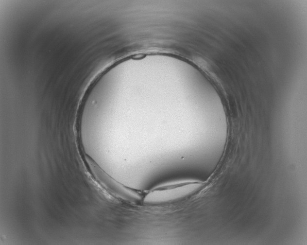 X0000064041189200602171636