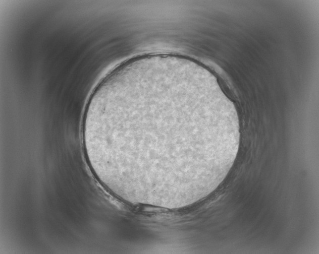 X0000064041191200602171636