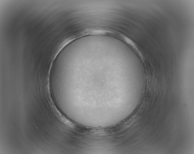 X0000064041194200602171636