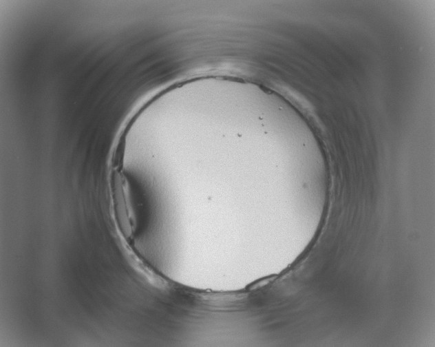 X0000064041200200602171636