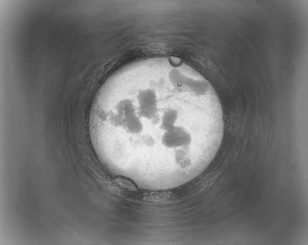 X0000064041201200602171635