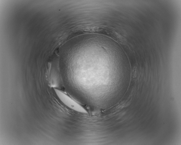 X0000064041202200602171635