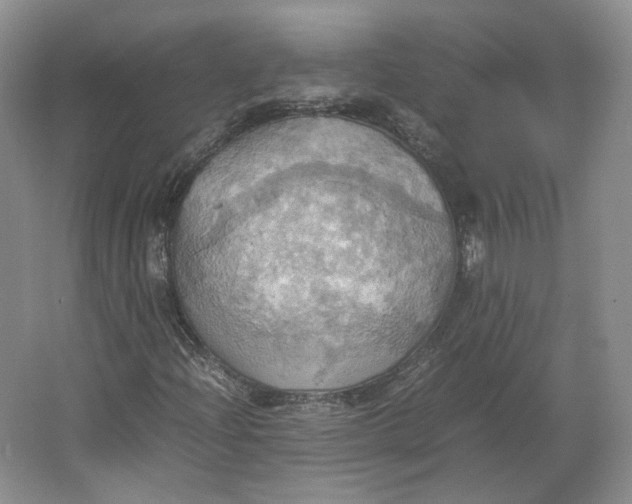 X0000064041204200602171635