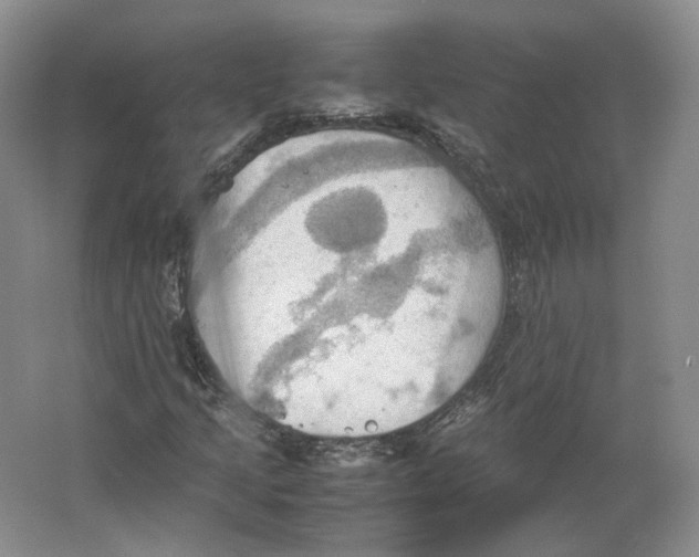 X0000064041205200602171635