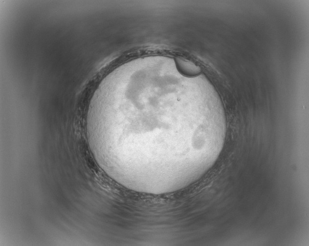 X0000064041207200602171635