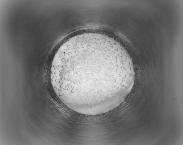 X0000064041208200602171635