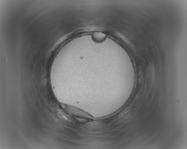 X0000064041213200602171635