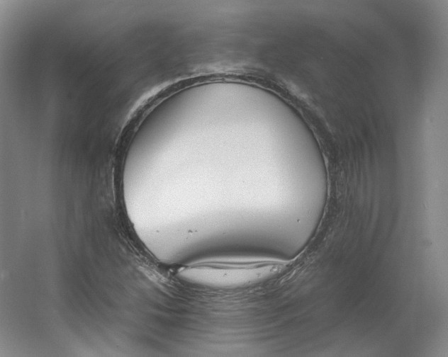 X0000064041214200602171635