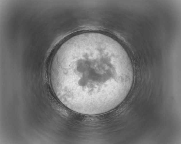 X0000064041215200602171635