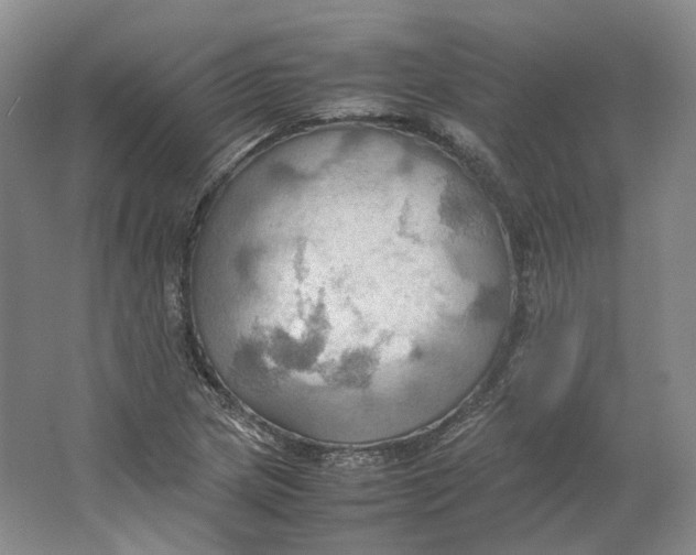 X0000064041217200602171635