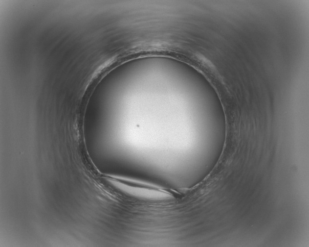 X0000064041218200602171635