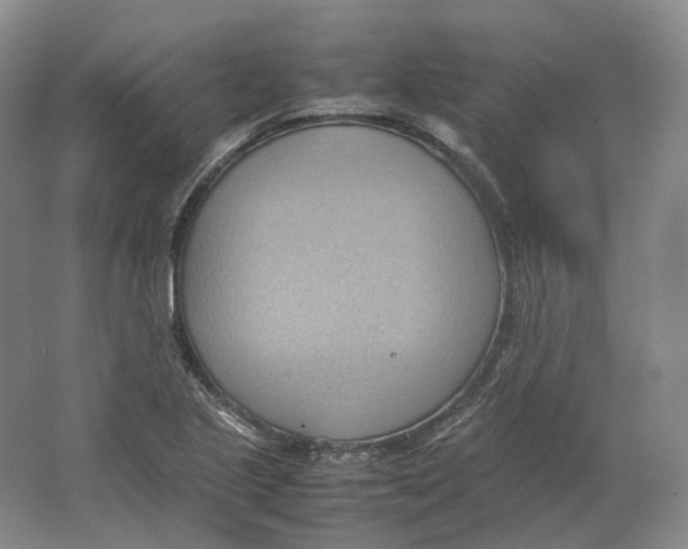 X0000064041221200602171635