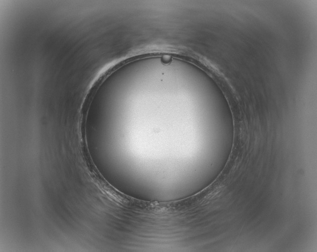 X0000064041222200602171635