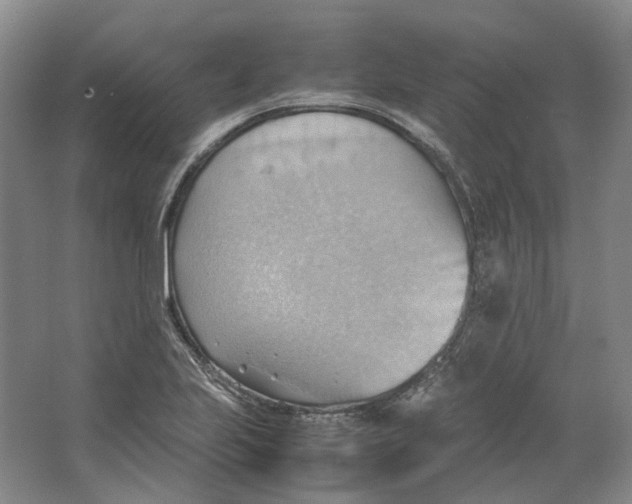 X0000064041223200602171635