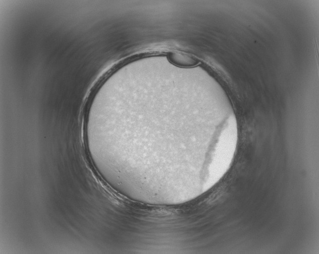 X0000064041224200602171635