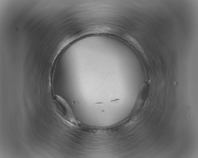 X0000064041226200602171635