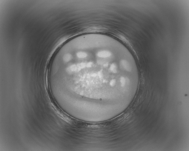 X0000064041227200602171636