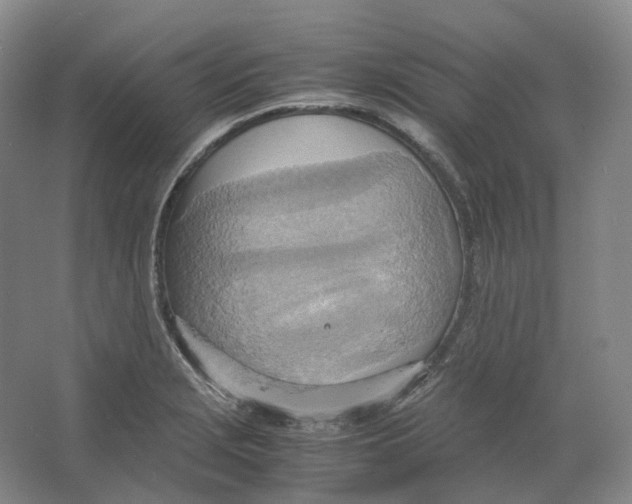 X0000064041229200602171636