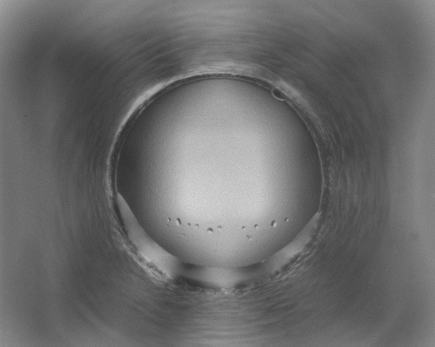 X0000064041230200602171636