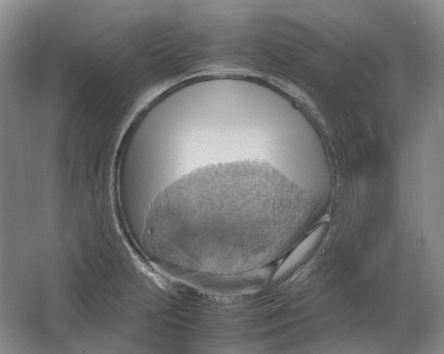 X0000064041231200602171636