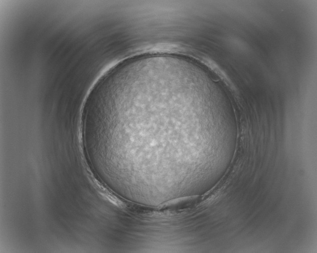 X0000064041232200602171636