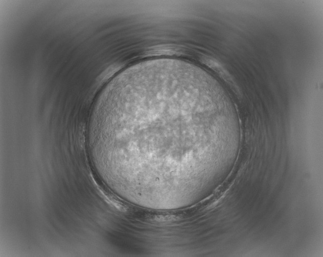 X0000064041233200602171636