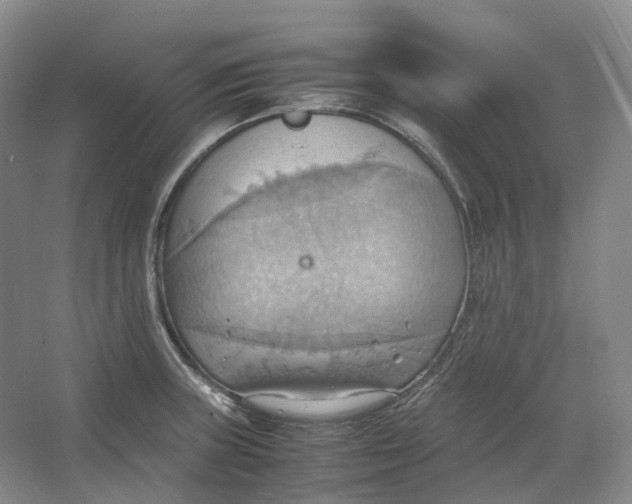 X0000064041235200602171636